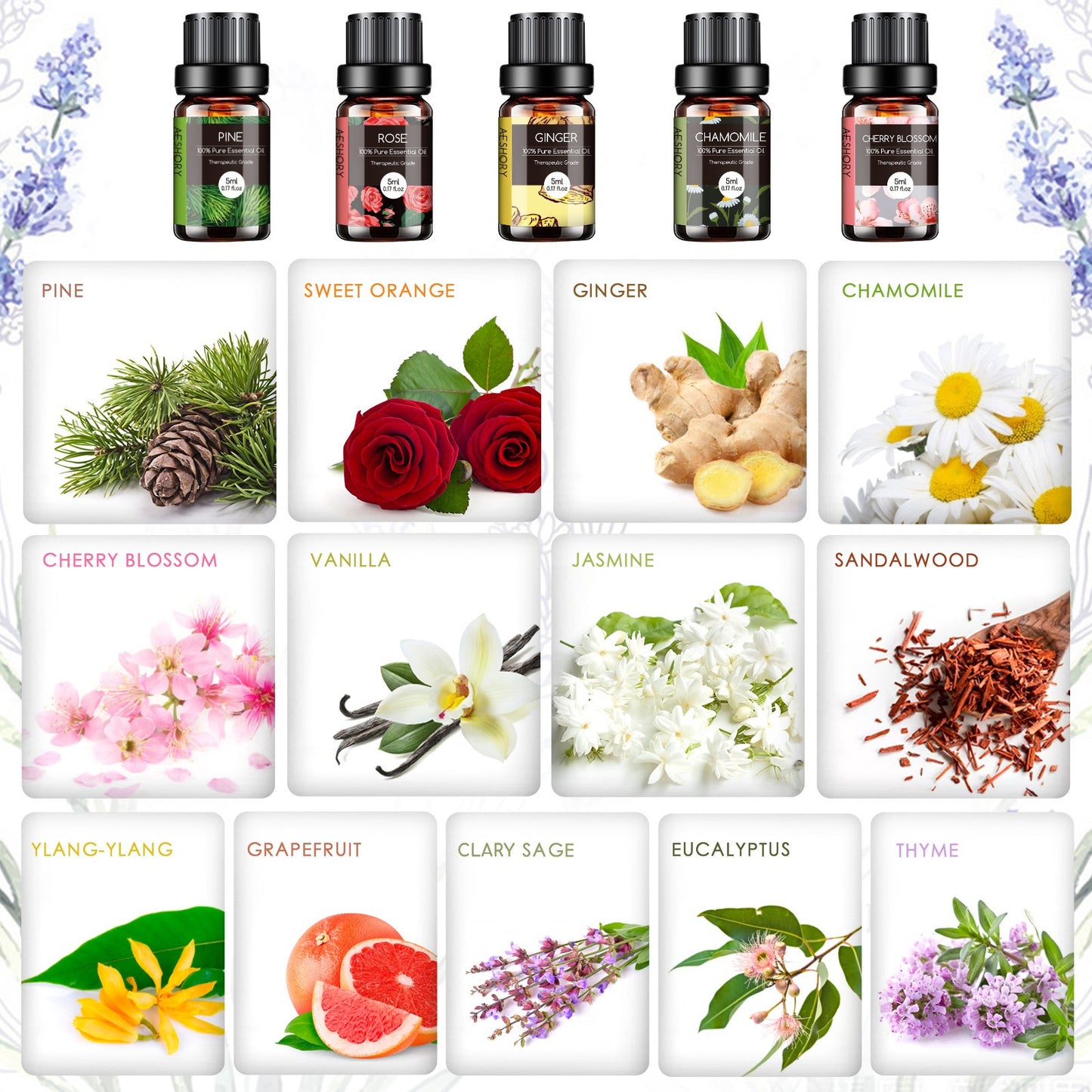 26 Pcs Essential Oils Set