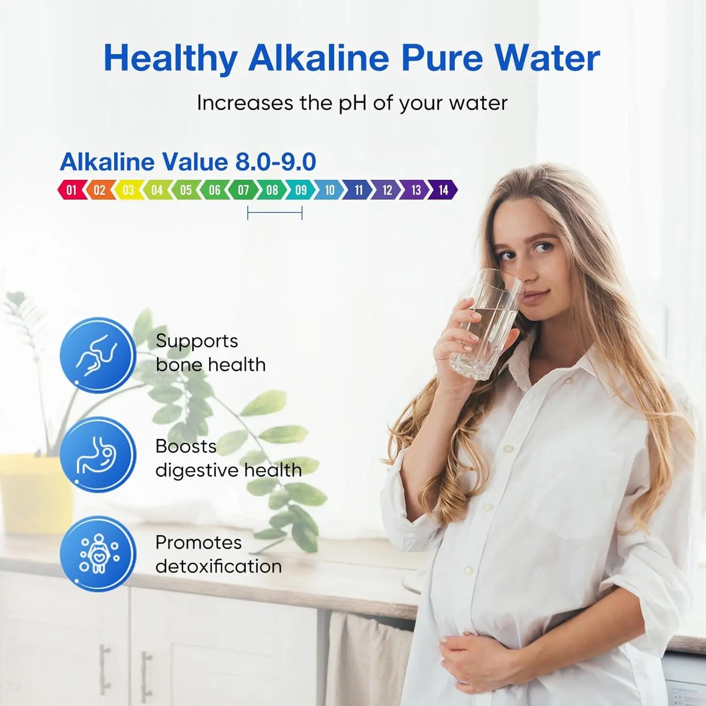 Alkaline Water Filter System